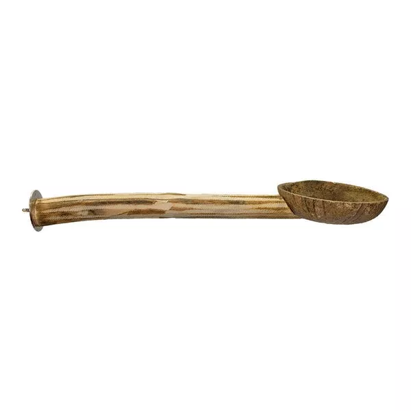 Exotic Nutrition Coconut Cup With Perch