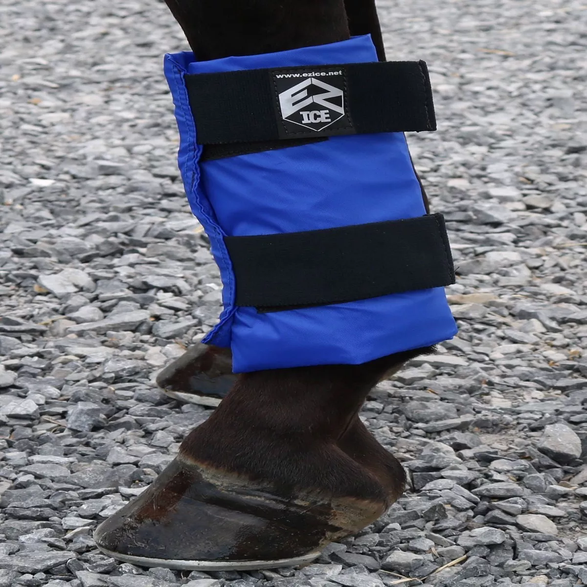 EZ Ice Horse Therapy Tendon Wrap, Each