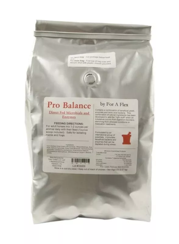 For-A-Flex Pro Balance