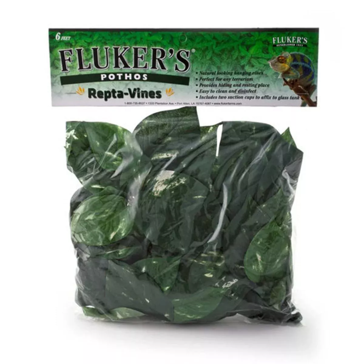 Fluker's Pothos Repta-Vines