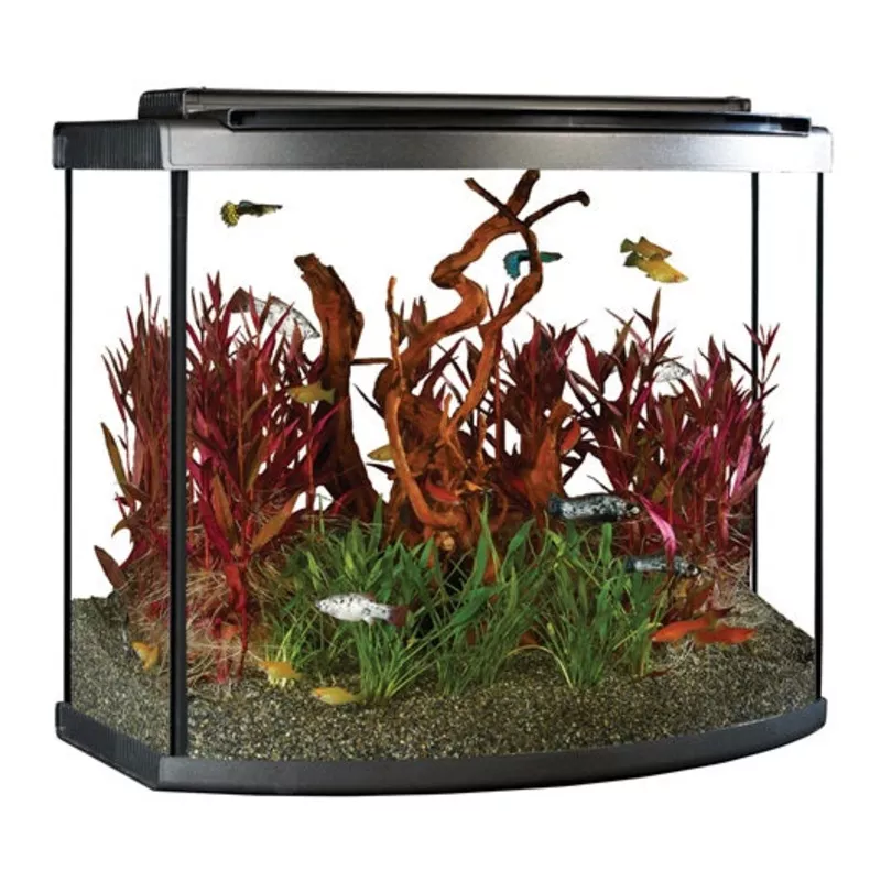 Fluval Premium Aquarium Kit with LED – 26 Bow – 98 L (26 US gal)