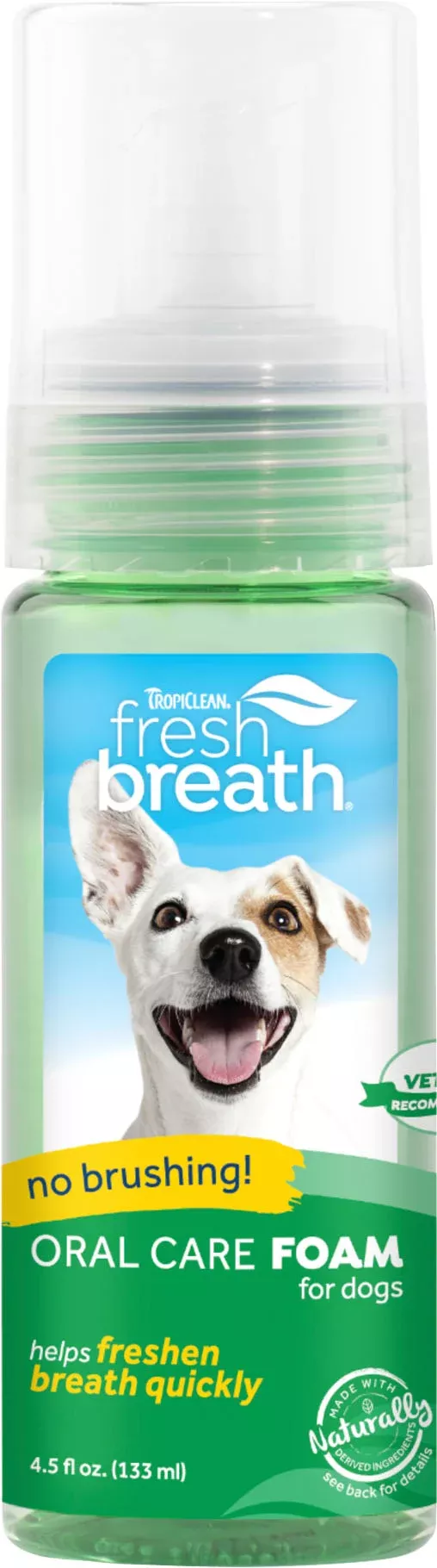 Fresh Breath Oral Care Foam