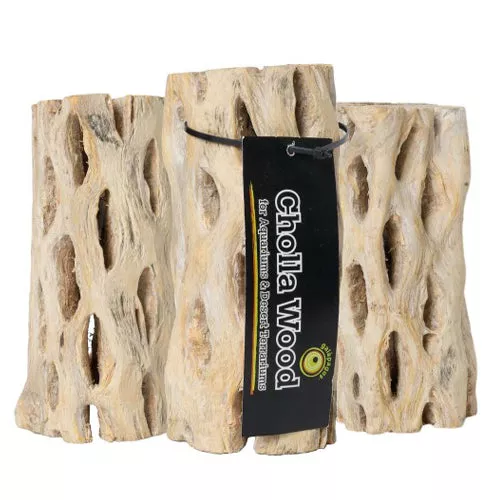 Galapagos, Galapagos Cactus Skeleton Cholla Wood, Brown, 1 Each/6 in, 3 Pieces