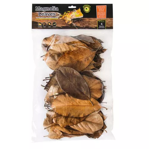 Galapagos, Galapagos Magnolia Leaves for Tropical & Bioactive Habitats, Brown, 1 Each/4 qt