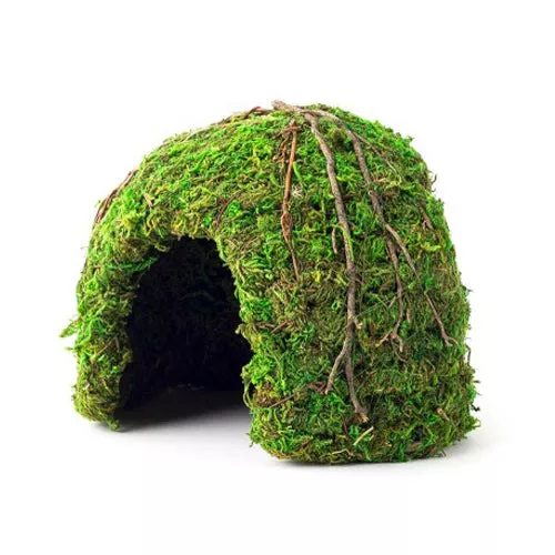 Galapagos, Galapagos Mossy Dome Terrarium Hideaway, Fresh Green, 1 Each/6 in