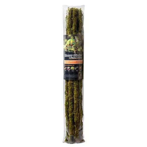 Galapagos, Galapagos Mossy Sticks Terrarium Ornament, Fresh Green, 1 Each/24 in, 6 Count