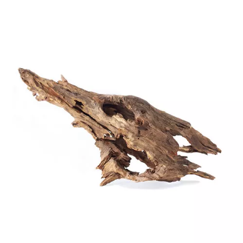 Galapagos, Galapagos Natural Driftwood Hollow Tree Root, 1 Each/12-16 in