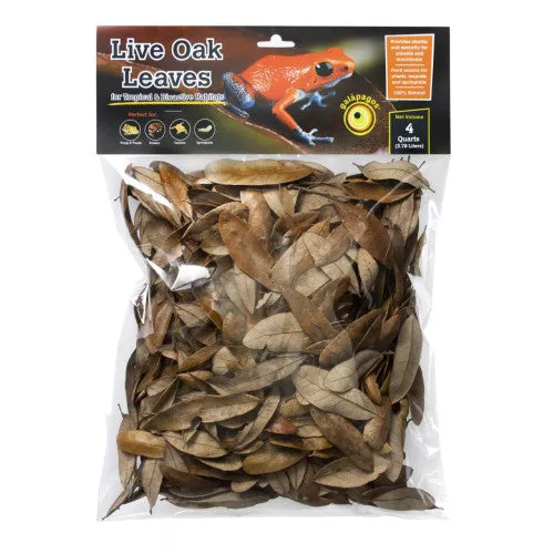 Galapagos, Galapagos Natural Live Oak Leaf Litter, 1 Each/4 qt