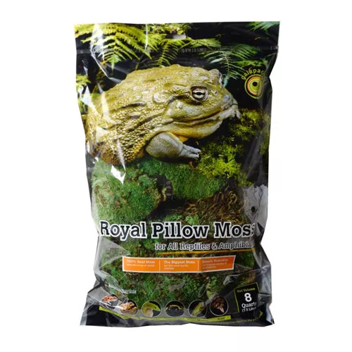 Galapagos, Galapagos Royal Pillow Moss for Tropical & Forest Tanks, Fresh Green, 1 Each/8 qt