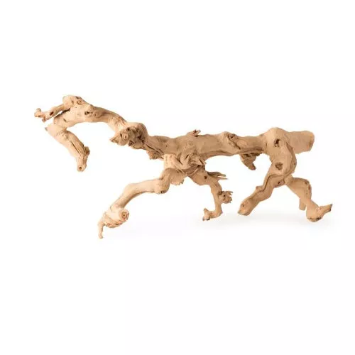 Galapagos, Galapagos Walking Wood Grapevine Branch, Brown, 1 Each/19 In - 24 in