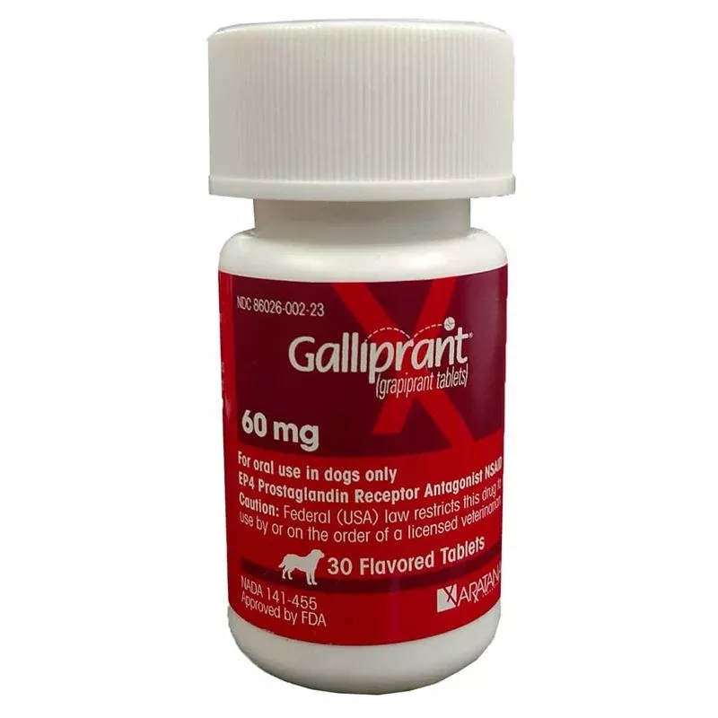 Galliprant Tablet