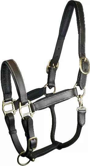 Gatsby Adjustable Padded Leather Halter