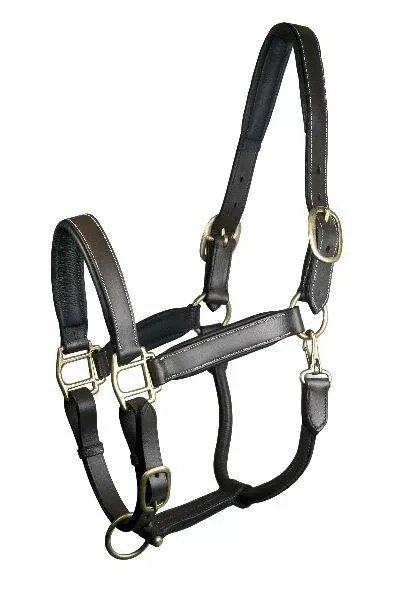Gatsby Fully Adjust Padded Leather Halter