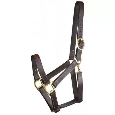 Gatsby Track Style Turnout Halter/Snap