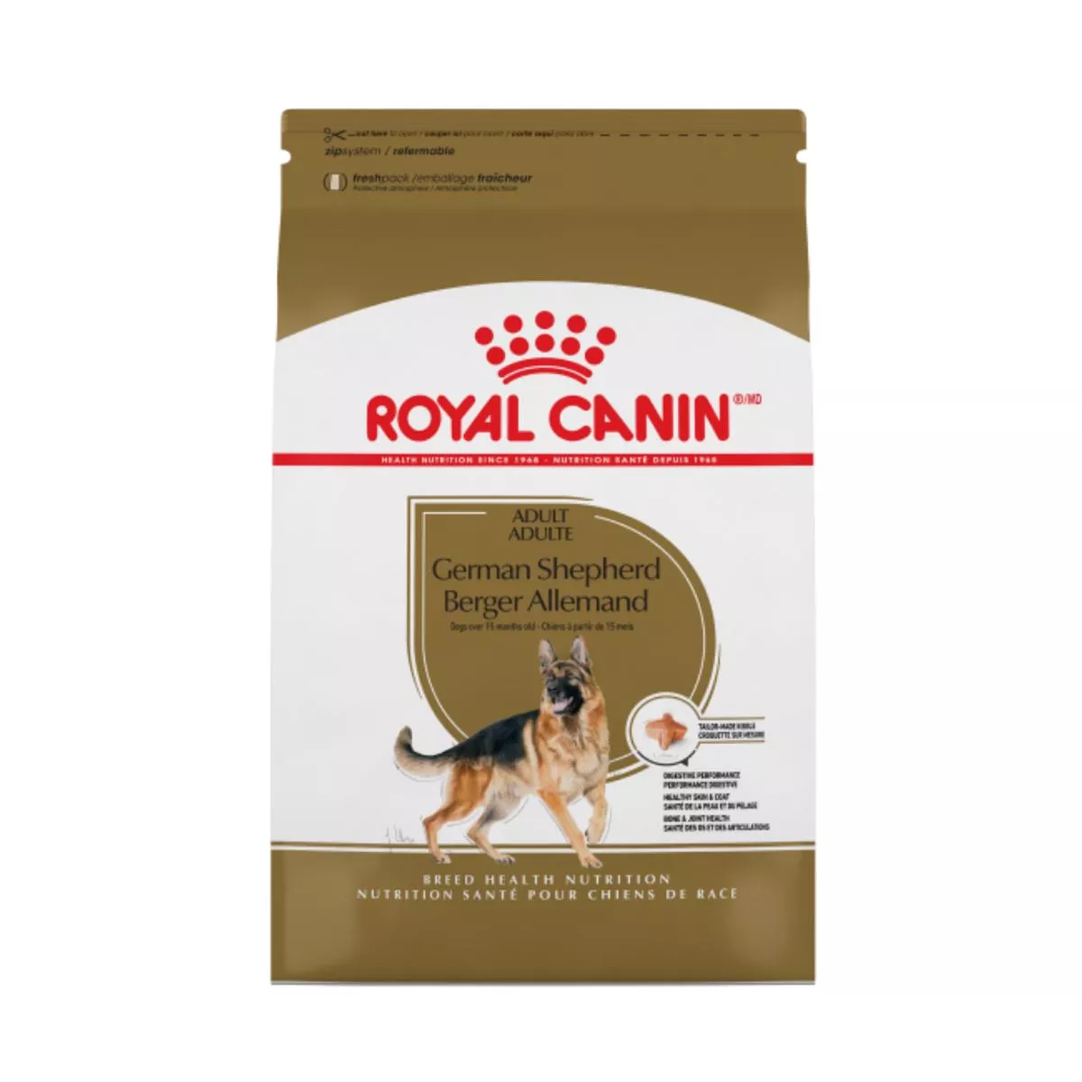 German Shepherd Adult