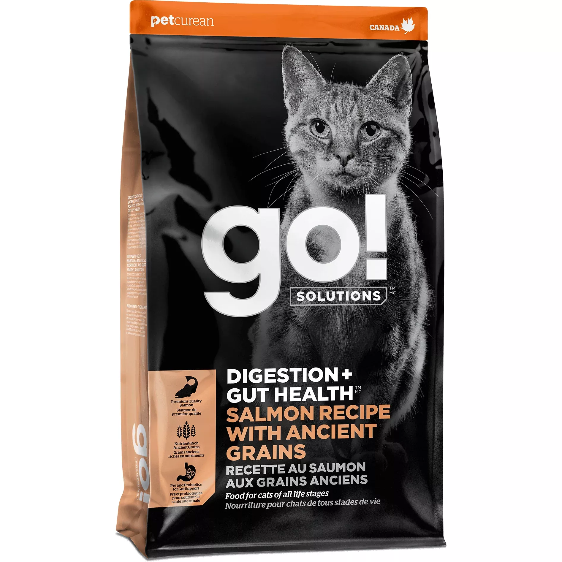 Go! Digestion + Gut Health Salmon Recipe with Ancient Grains for cats