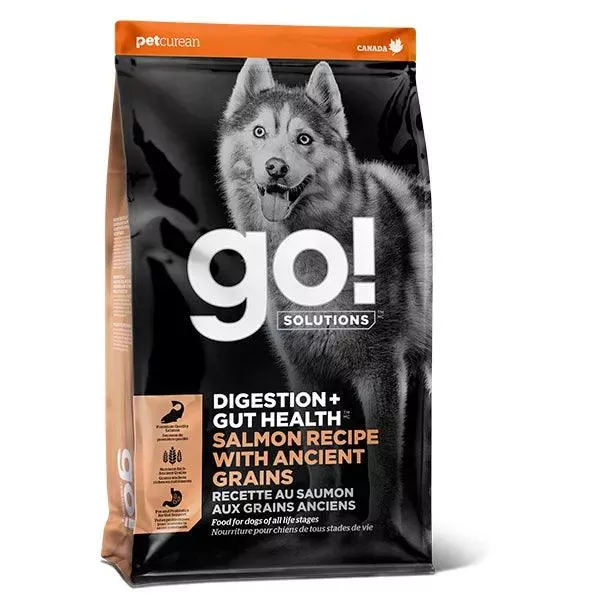 Go! Digestion + Gut Health Salmon Recipe with Ancient Grains for dogs