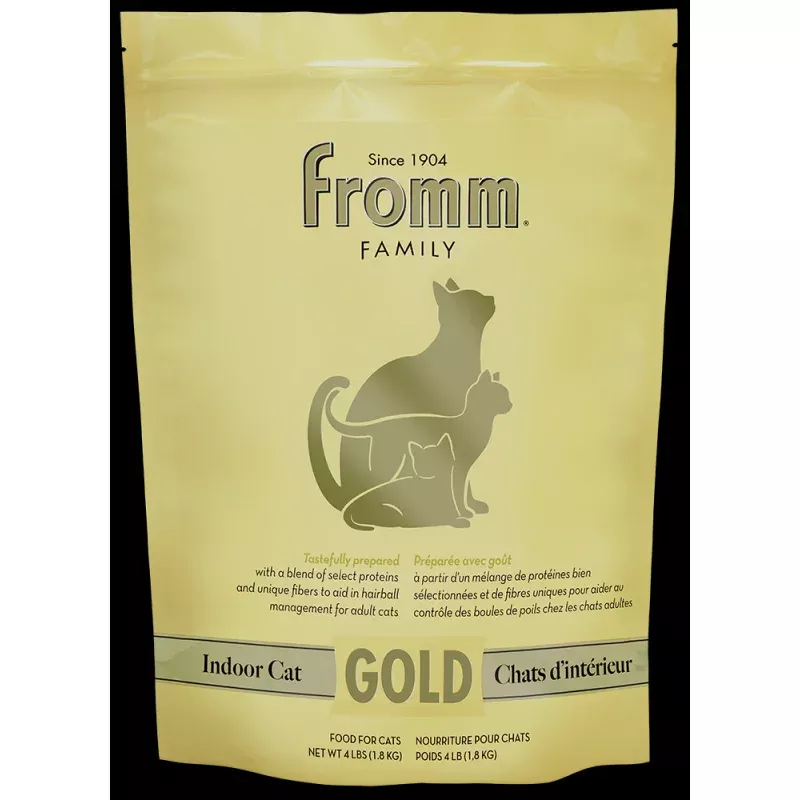 Gold Indoor Cat