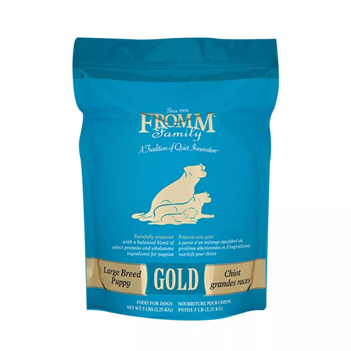 Gold Large Breed Puppy