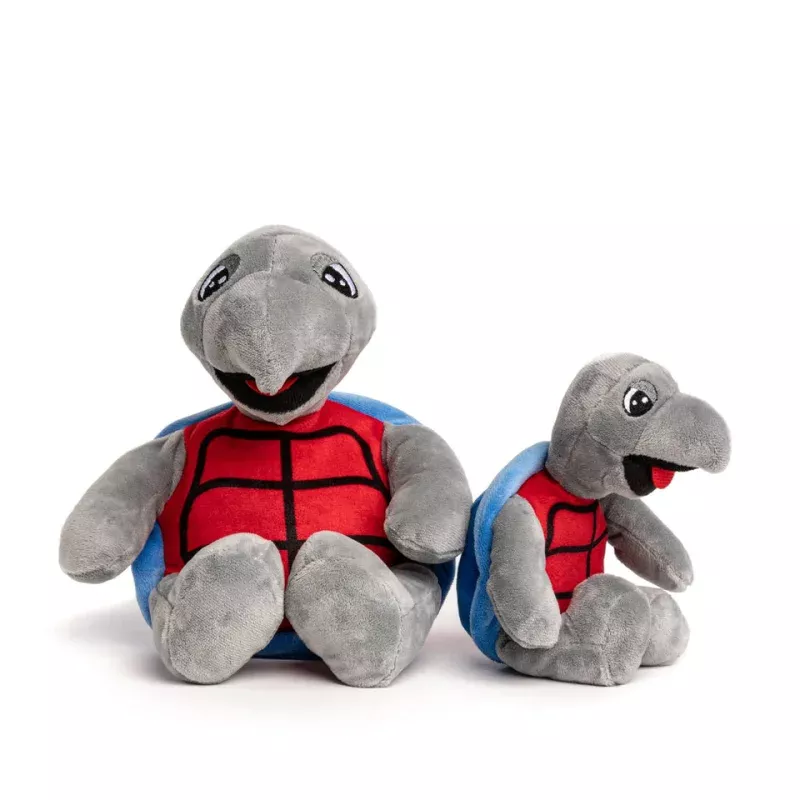 Grateful Dead Turtle