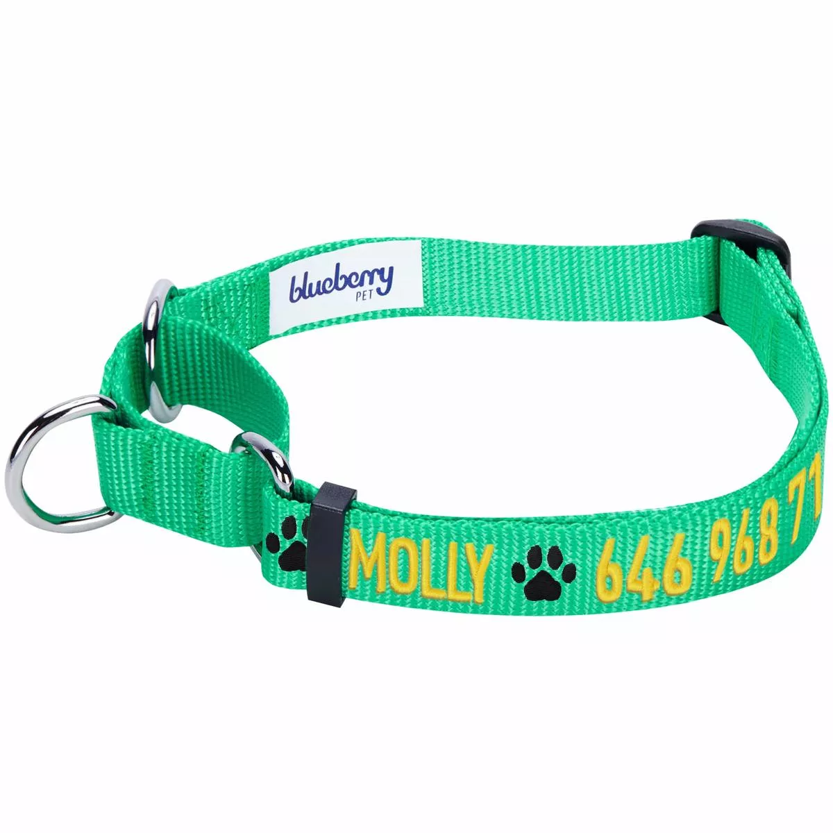Green Nylon Personalized Martingale Dog Training Collar