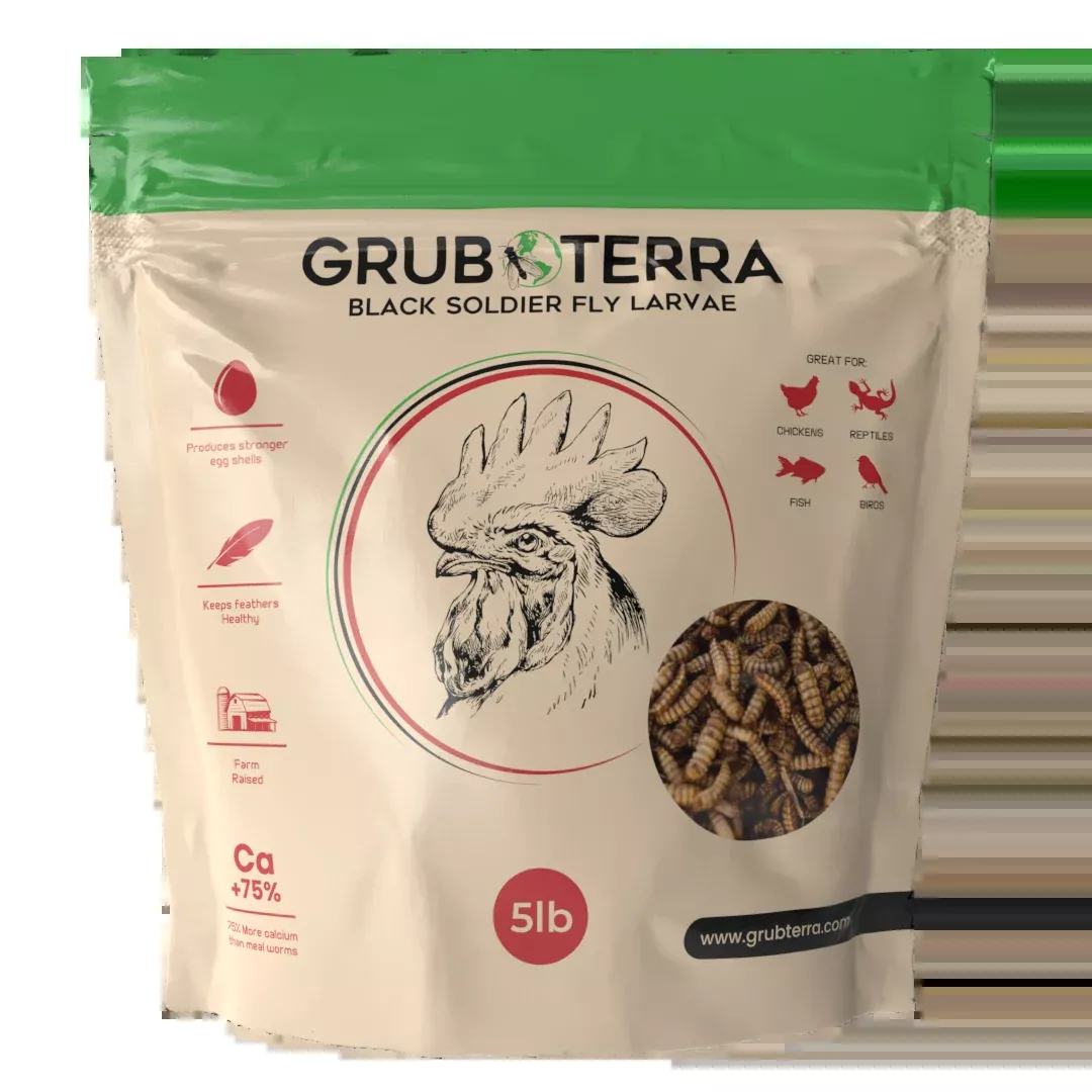 GrubTerra Dried Black Soldier Fly Larvae - Great To Increase Egg Production!