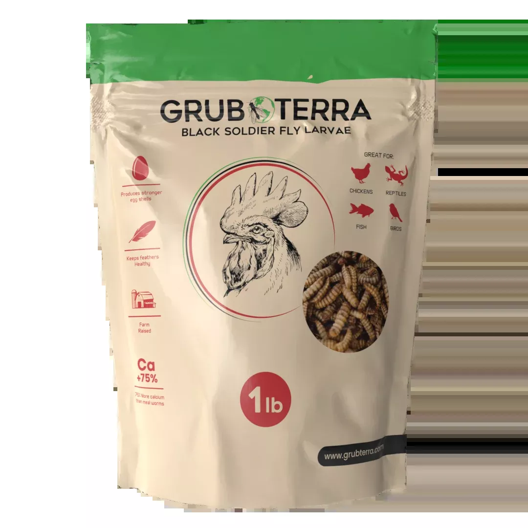 GrubTerra Dried Larvae Sample