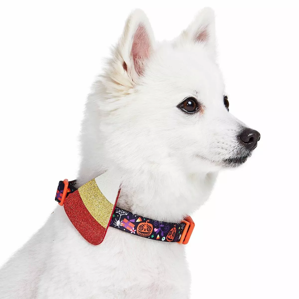 Halloween Candy Corn Dog Collar For Festive Pet Lovers