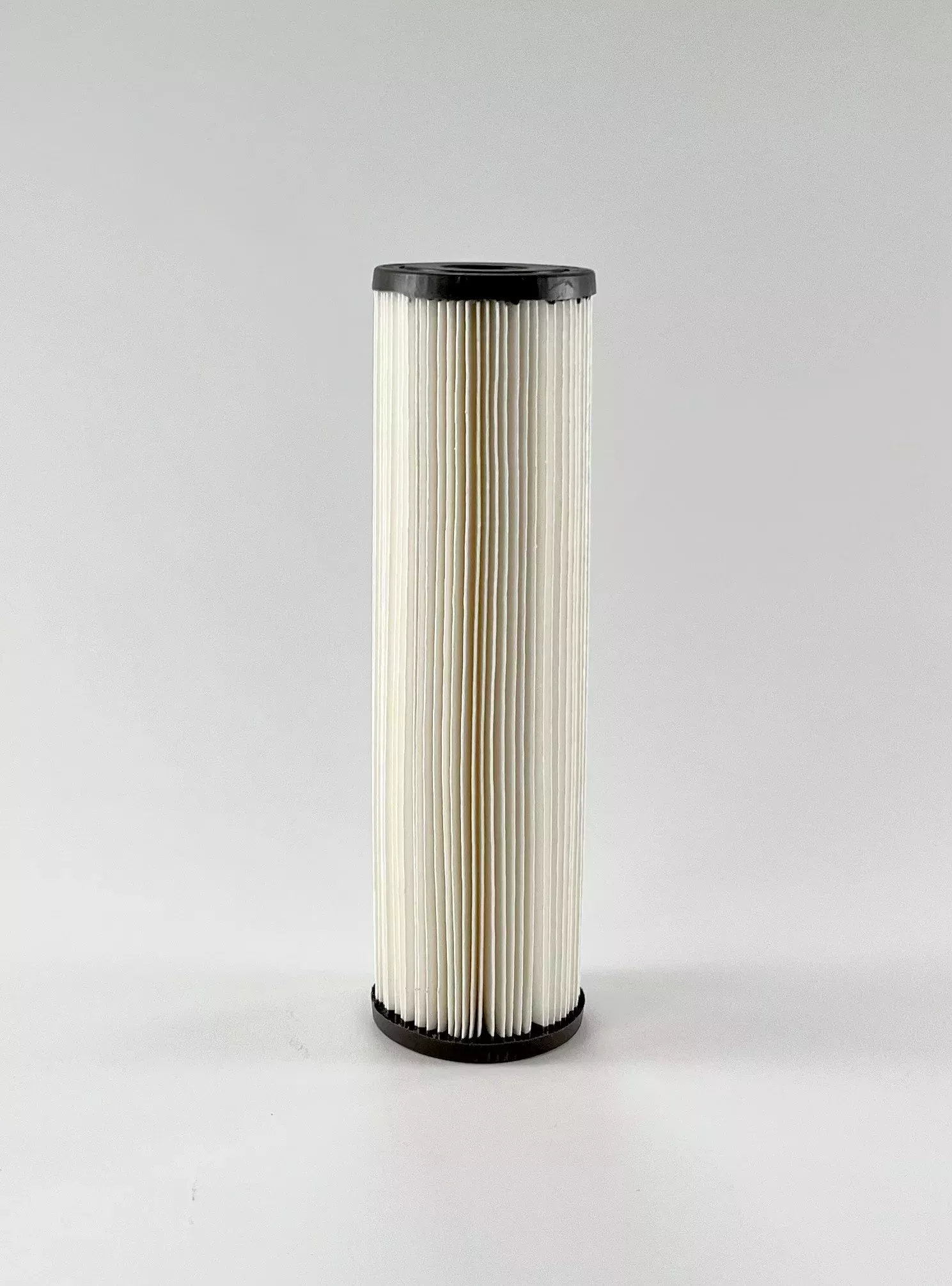 Harmsco 801-35 Polyester Filter Cartridge (0.35 Microns)