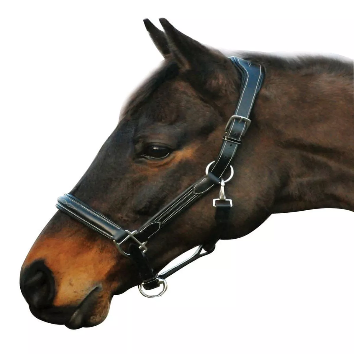 HDR Stress Free Fancy Stitch Leather Halter