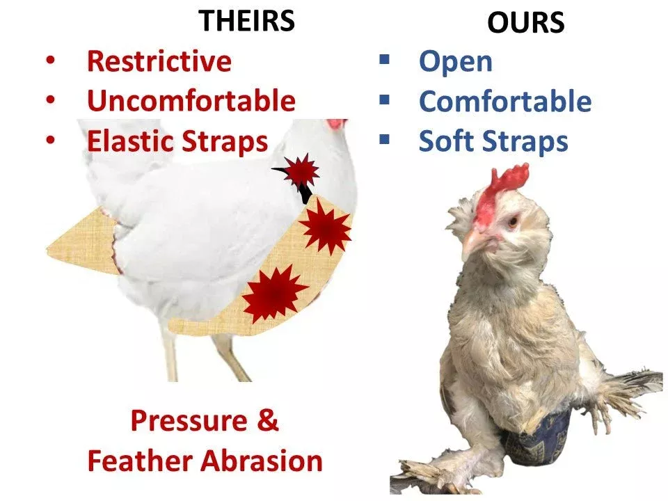 Hen Holster Bird Diaper/Harness with Permanent (Sewn-in) Liner