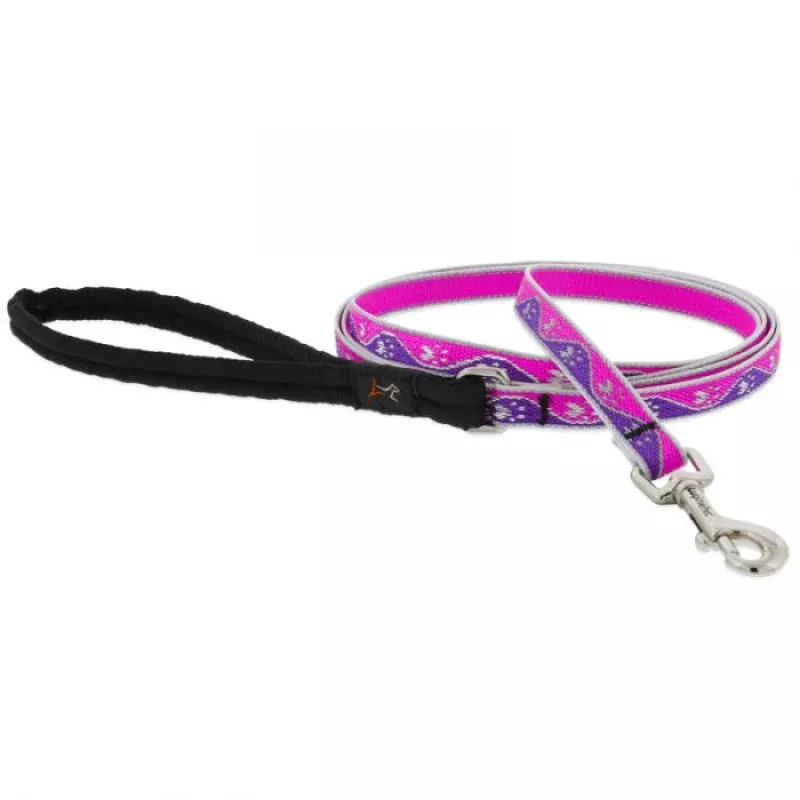 High Lights Pink Paws Leash