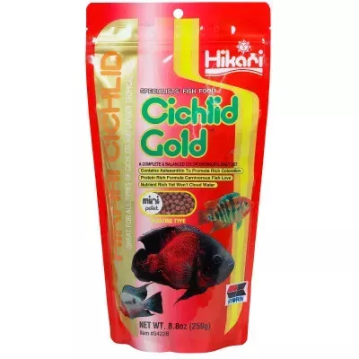 Hikari Cichlid Gold Mini 57gm Mini Pellet Floating