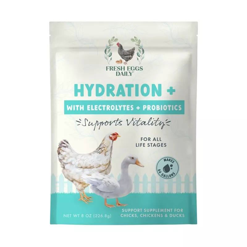 Hydration + 3 in 1 Electrolyte, Probiotic, Vitamins