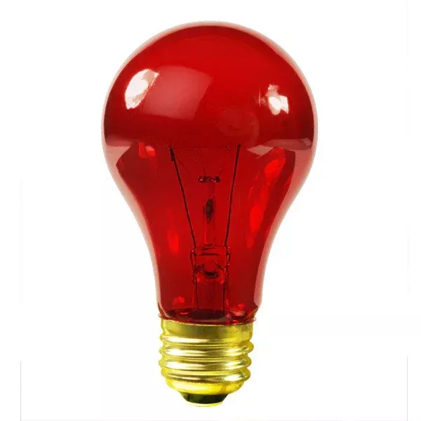 Incandescent Night Red Heat Bulb 100 Watt