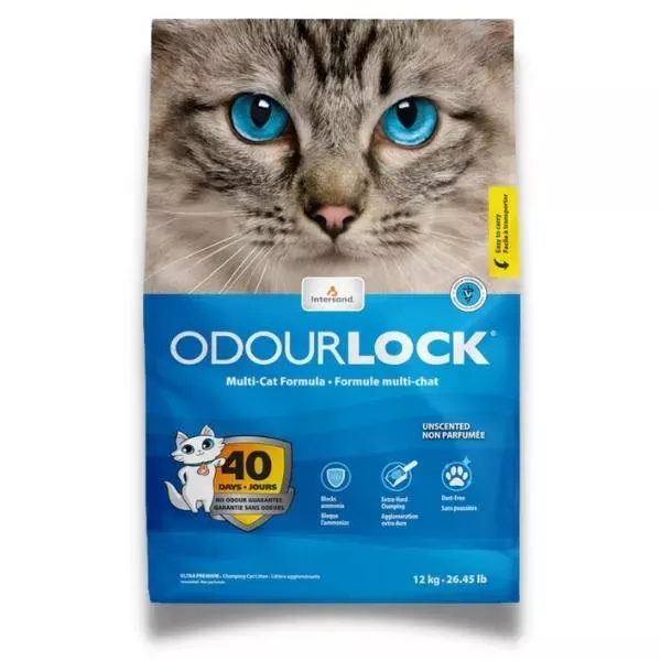 Intersand Odourlock Multi-Cat Clumping Cat Litter - Unscented