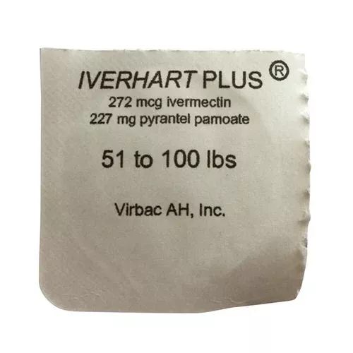 Iverhart Plus Dog