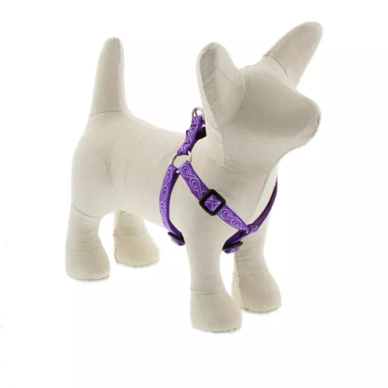Jelly Roll Harness