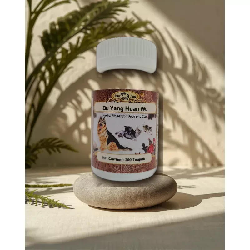 Jing Tang Herbals: Bu Yang Huan Wu 200 teapills (1 bottle)
