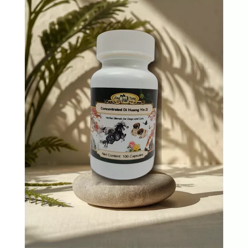 Jing Tang Herbals: Concentrated Di Huang Yin Zi 0.5g capsule (100 capsule bottle)