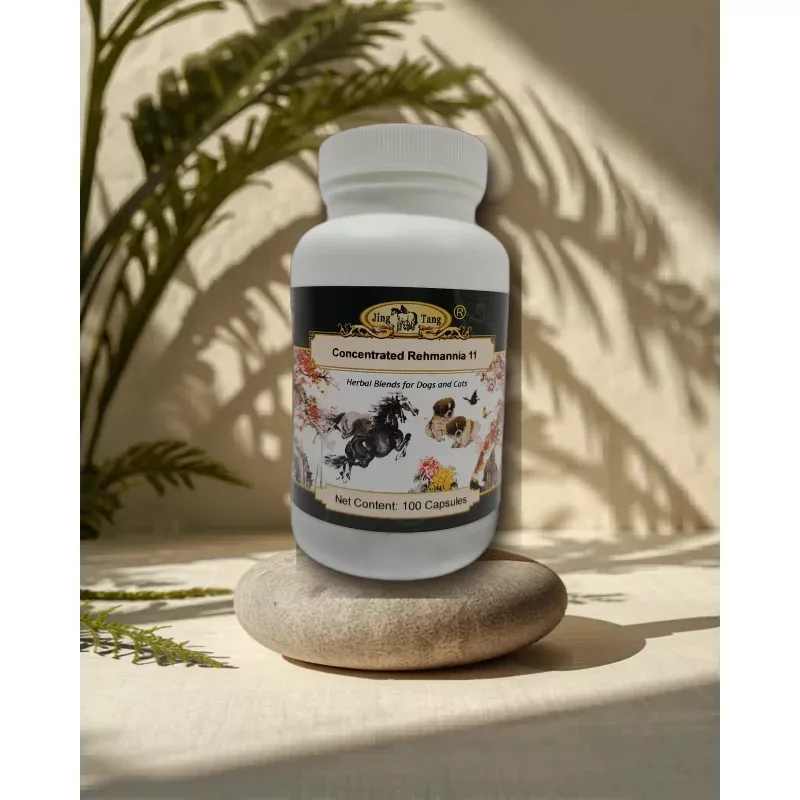 Jing Tang Herbals : Rehmannia 11 - 0.5g capsule (100 capsule bottle)