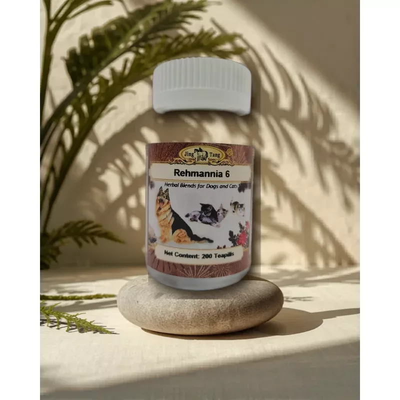 Jing Tang Herbals: Rehmannia 6 200 teapills (1 bottle)