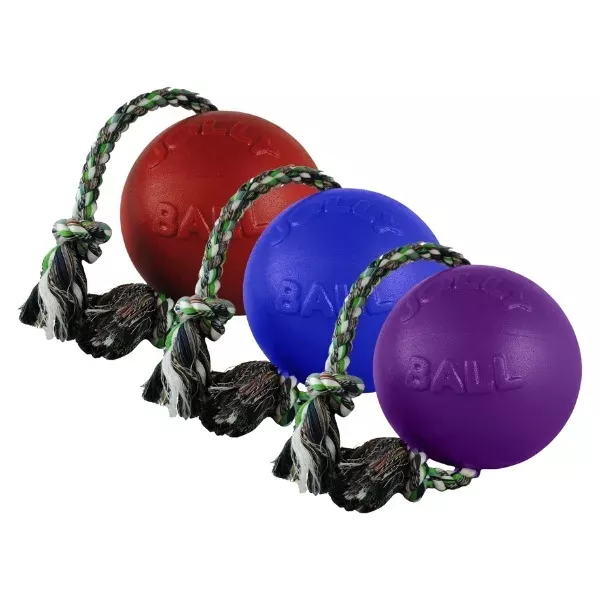 Jolly Pet Romp-n-Roll