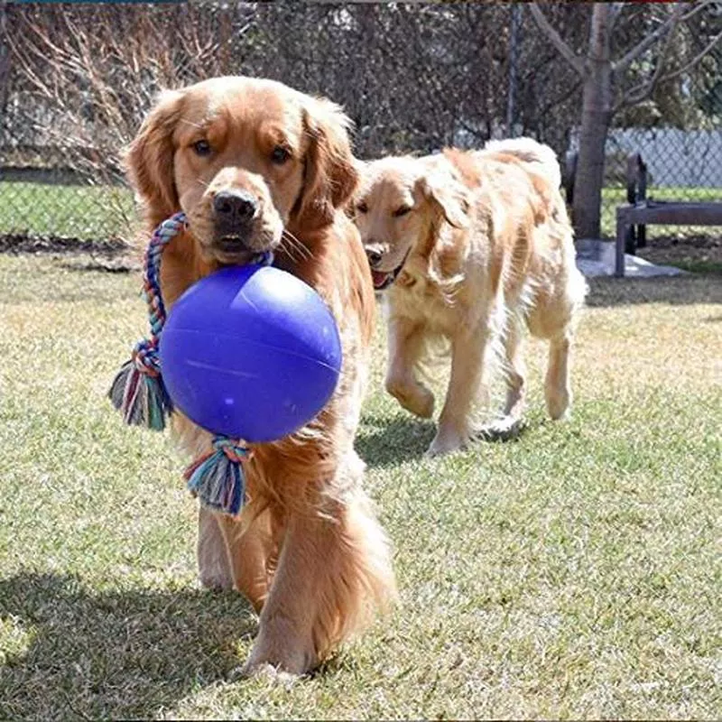 Jolly Pets Romp-n-Roll Ball Asst’d