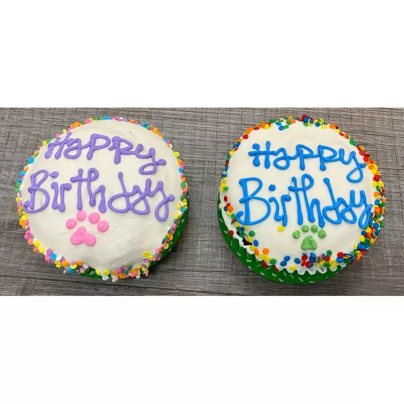 Jumbo Cupcake