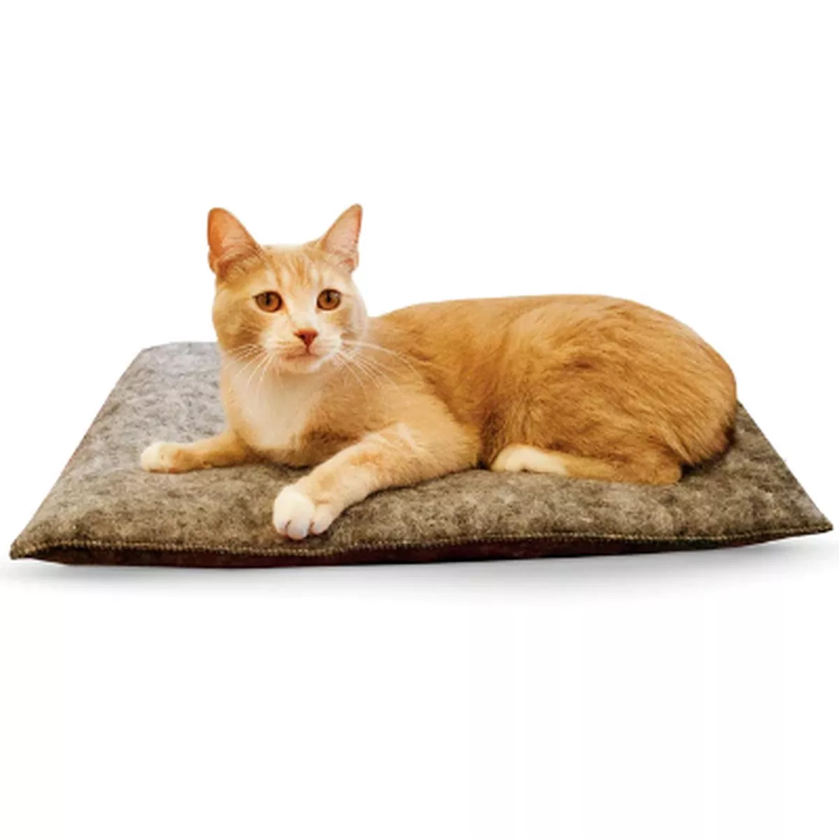 K & H Amazin Kitty Pad Cat Bed