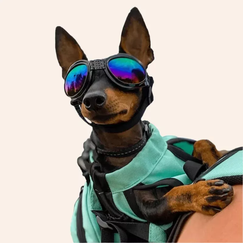 K9 Sport Shades - Dog Goggles
