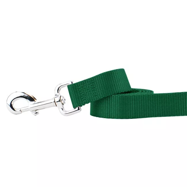 Kelly Green Nylon Dog Leash