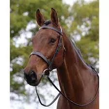 Kincade Flat Cavesson II Bridle
