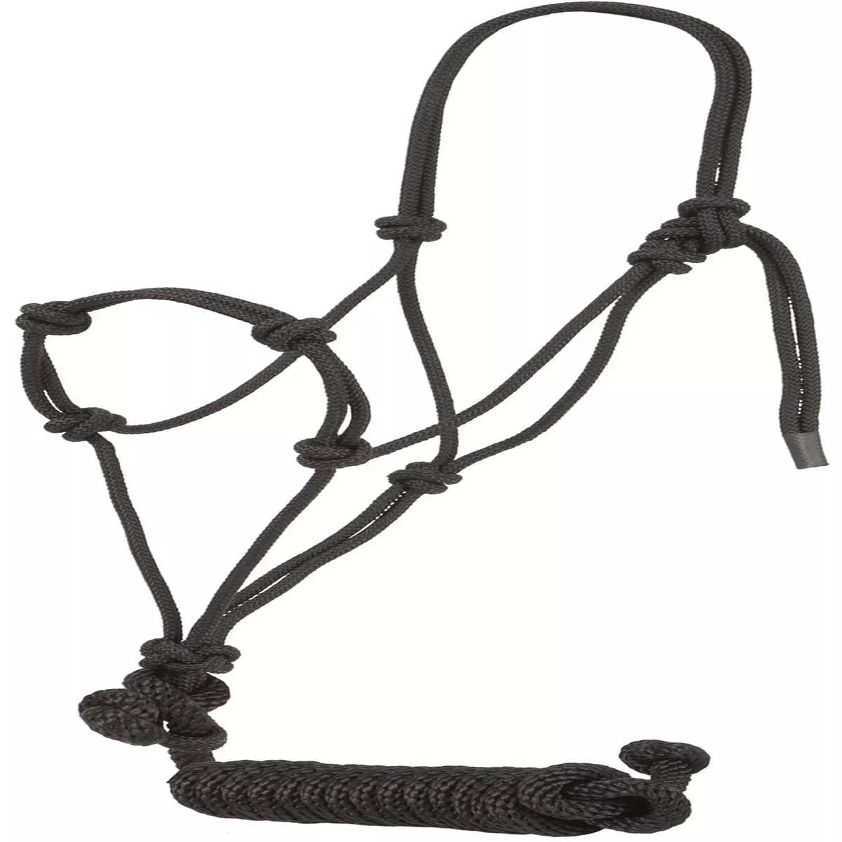 Knotted Poly Rope Training Halter